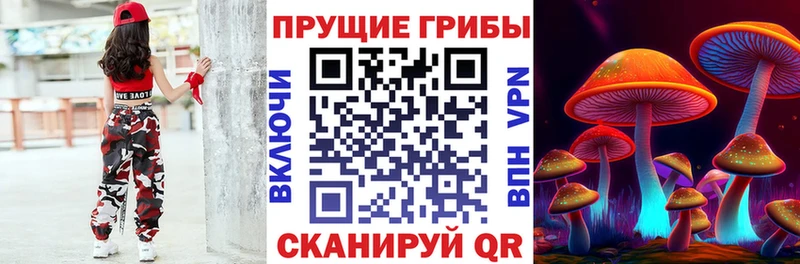 хочу   МЕГА вход  Псилоцибиновые грибы GOLDEN TEACHER  Цимлянск 