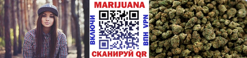 дарнет шоп  Цимлянск  Канабис сатива 